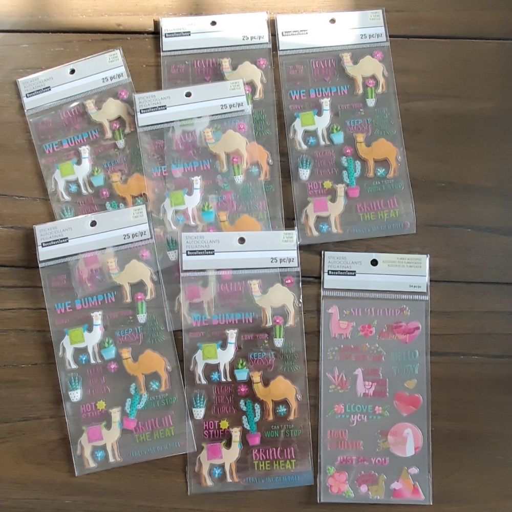 RECOLLECTIONS   STICKERS & PLANNER ACCESSORIE